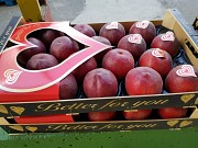 Продаем персики Минск