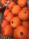 Продаем апельсины от производителей Минск