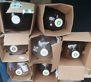 Кеги (кэги, бутли) пищевые из под пива, кваса, эля, емкостью, 20 и 30 литров, прозрачные и коричне Минск