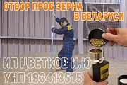 Отбор проб зерна в Беларуси (самосвал, хоппер, склад) Минск