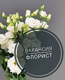 Приглашаем флориста для работы в Минске Минск