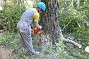 Услуги арбористов, промышленный альпинизм и аренда спецтехники Витебск