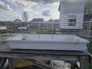 Клетки большие. Минск