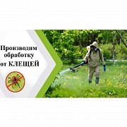 Клещевая обработка территорий, участков, дач. Минск