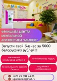 Франшиза детского центра дополнительного образования "amakids" Могилев
