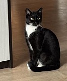 Нежная Амира Минск