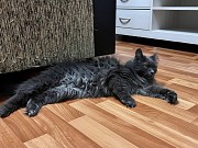 Шикарная Марси Минск