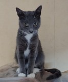 Ласковая Эльфи Минск