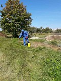 Обработка участка гербицидами Могилев