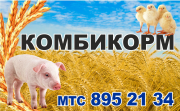 Комбикорм, Пшеница, ячмень, Овёс Витебск